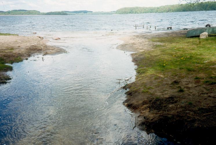 Ihna am Abfluss Enzigsee