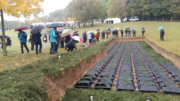 Einbettung in Glien