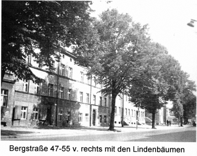 Bergstraße Lindenbäume