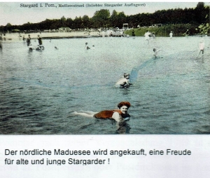 Madüsee