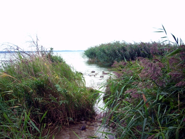 Plöne Madüsee