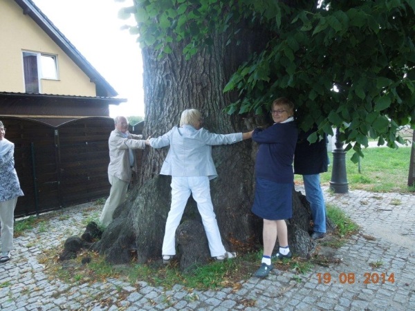 Friedenslinde in Kublank